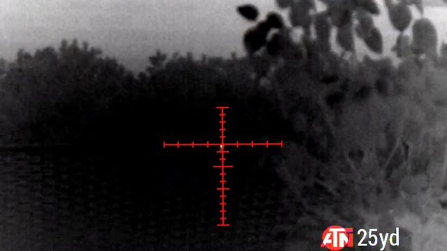 Airgun Rat Pest Control with the ATN Thor 4 Thermal and EDgun Veles & Leshiy смотреть онлайн