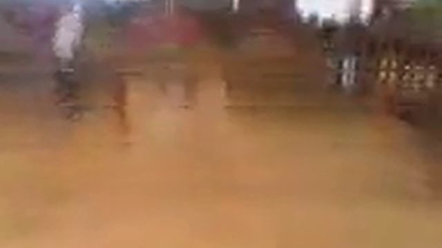 plasma park joao смотреть онлайн
