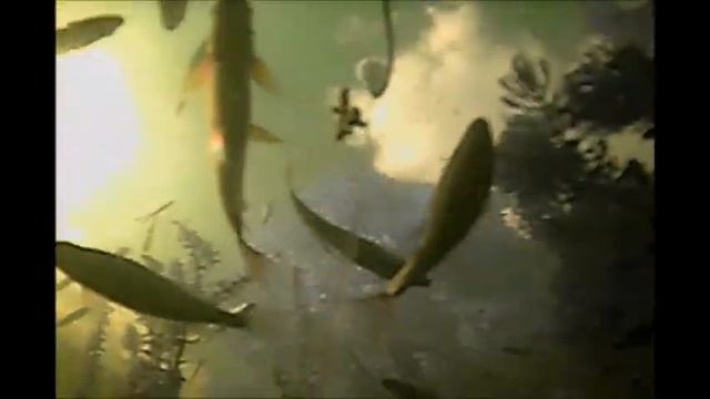 Нечто смотреть онлайн