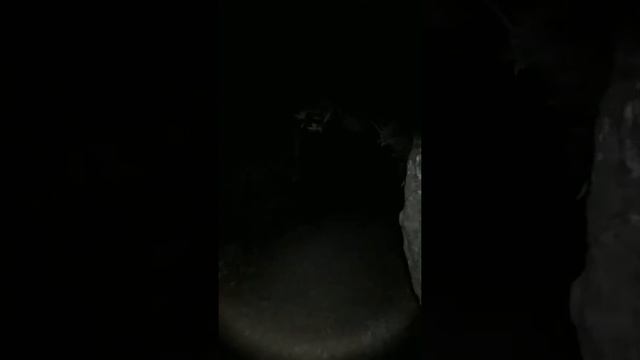 Video of Jessie M. Honeyman Memorial State Park, OR from Tj B. смотреть онлайн