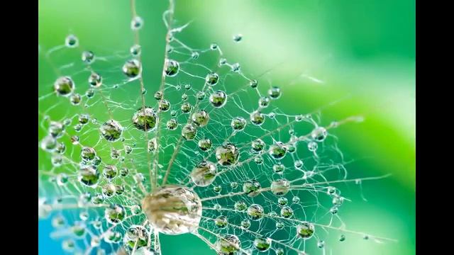 Музыка для расслабления. Все о массаже и массажистах в Москве и МО.