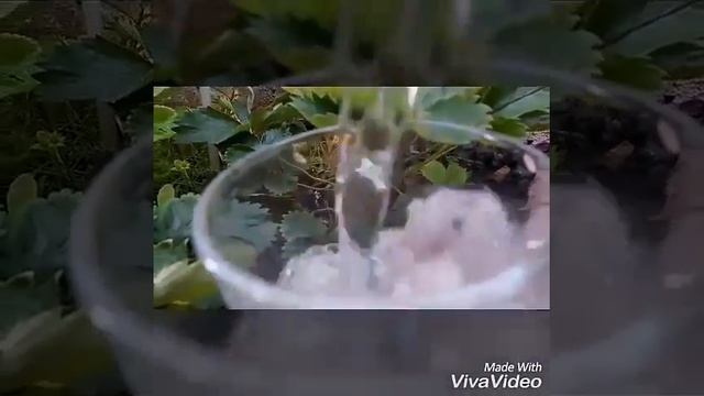 (реклама) Элитная чистая вода💧всегда пейте воду