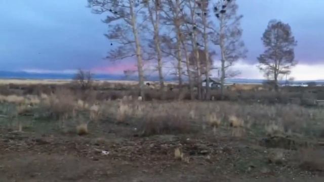 Тарбағатай Қарасу совхозы. "Қарасу алтын бесігім" смотреть онлайн