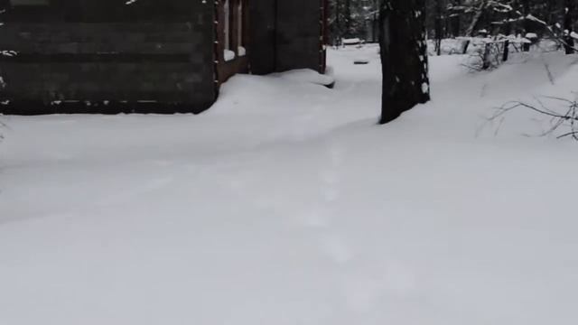 Зимний лагерь "ДОЛ им. Ю.А.Гагарина" смотреть онлайн