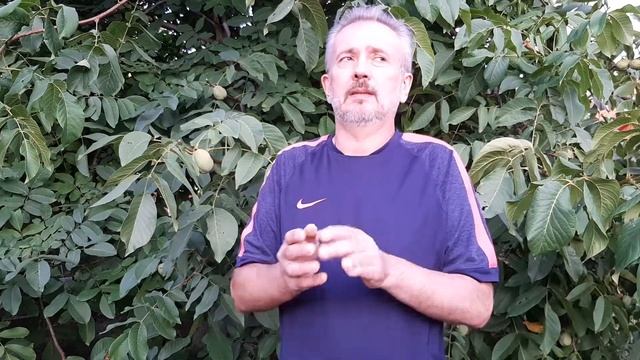 МАГИЧЕСКИЙ ТРЕУГОЛЬНИК ВО ВНУТРЕННИХ ОТНОШЕНИЯХ 2 смотреть онлайн