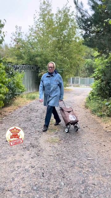 Сумка тележка обзор товара купить можно по ссылке смотреть онлайн