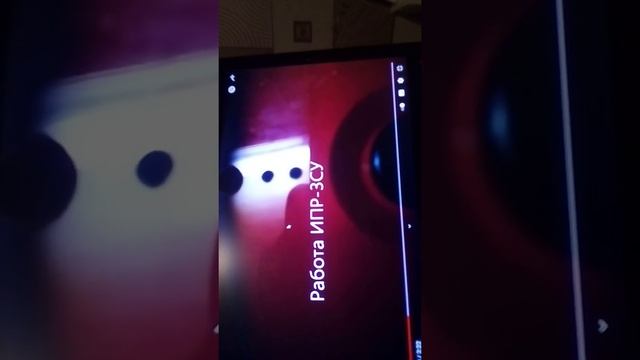 Домашка-акула