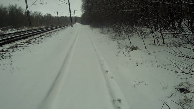охота на зайца 19 01 2025