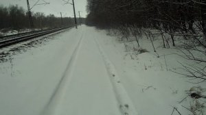 охота на зайца 19 01 2025