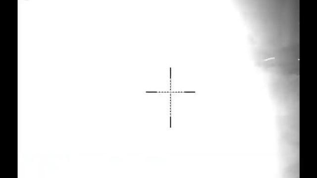 Wild boar hunting, night hunting, Night vision, Pulsar Digisight Ultra N455 смотреть онлайн