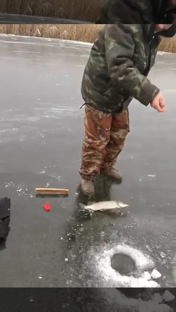 рыбалка на р Чаган смотреть онлайн