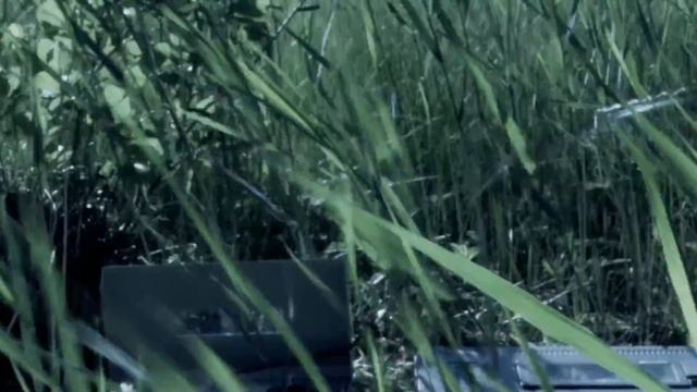 Project Vainiolla - Fragile (wind modulated tape loops and elcaset) смотреть онлайн