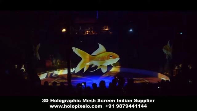 India - Circus Holographic Mesh Screen Supplier смотреть онлайн