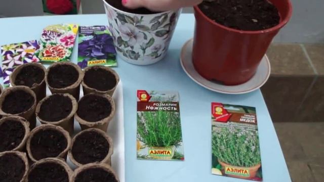 Выращивание розмарина в домашних условиях смотреть онлайн