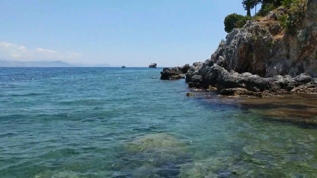 La flora batterica intestinale: cos'è e a cosa serve? смотреть онлайн