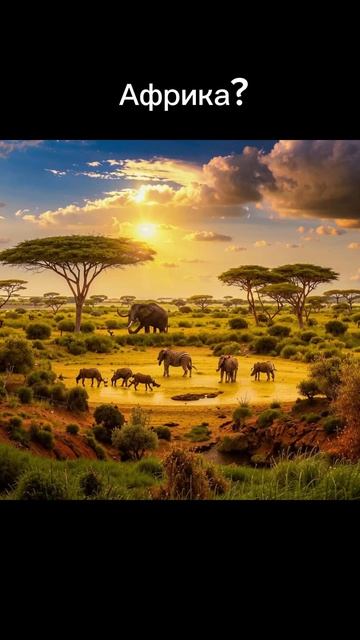 Татьяна Буйвол | Доверенный партнер