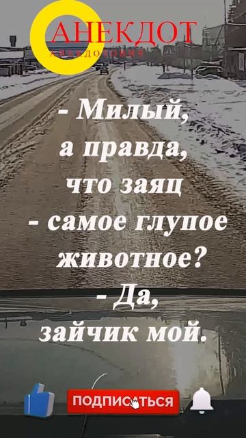 Заяц смотреть онлайн