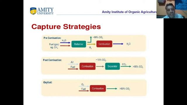 Carbon sink and Carbon dynamics смотреть онлайн