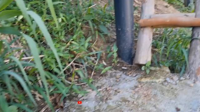 ELLA TRIP 😍 | 100 VIEW COTTAGE | SRI LANKA 🇱🇰 | PART 1 | M CUBE Dickwella смотреть онлайн