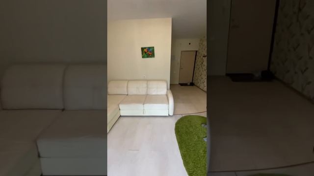 Видео обзор большой Студий в Жк Залесье с Ремотом и Мебелью смотреть онлайн