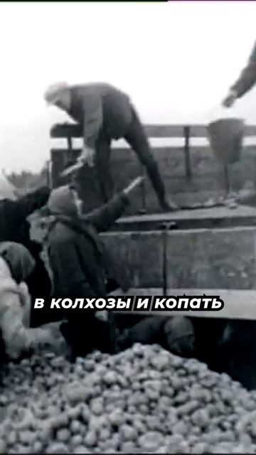 Проект обучение служинием