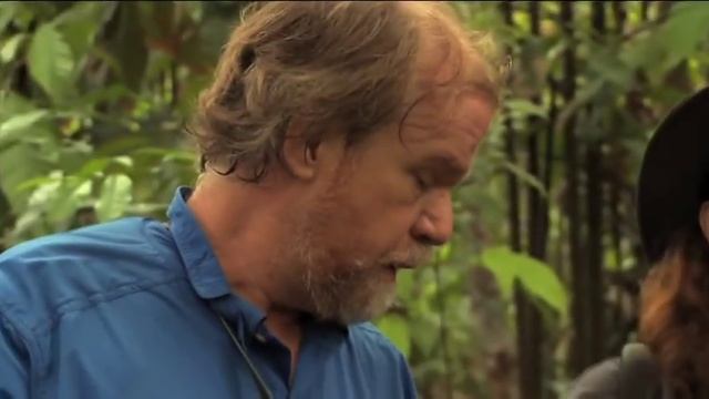 Chocolate: "Doctor Bugs" Moffett chasing the cacao fly смотреть онлайн