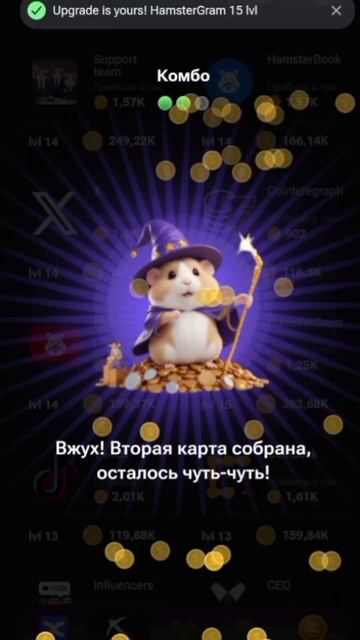 Комбо хомяка на сегодня- 11-12 HamsterTube - HamsterGram - Hamster Merch смотреть онлайн