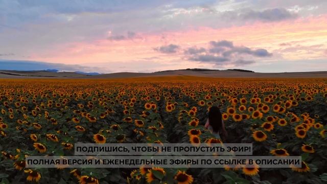 Про желание всех надлюбить и бросить. Проект 2А. Путь к себе смотреть онлайн