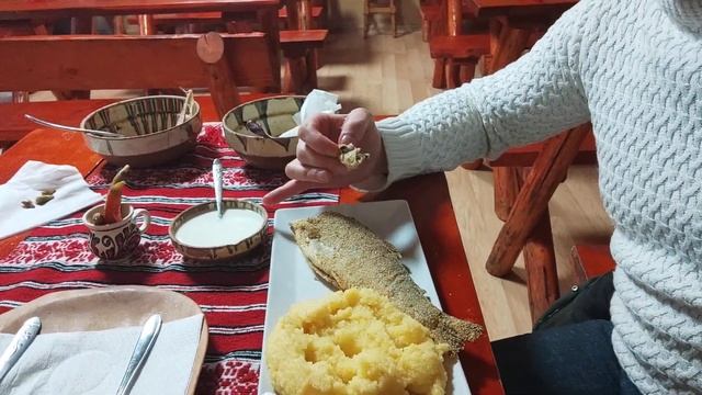 Форель в горах Румынии # Păstrăvăria Cheița смотреть онлайн