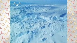 Шишкин Лес.  Антарктида