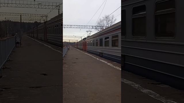ЭД4М-0100 и солянка с БОЖЕСТВЕННЫМ свистком отправляется со станции Красноармейск. #shorts #поезд смотреть онлайн