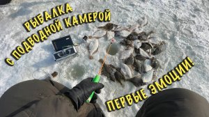 Ловим рыбу с подводной камерой | Зимняя рыбалка