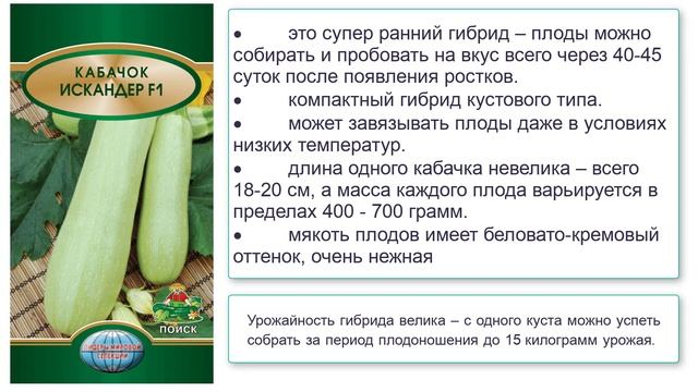 Кабачок Искандер смотреть онлайн