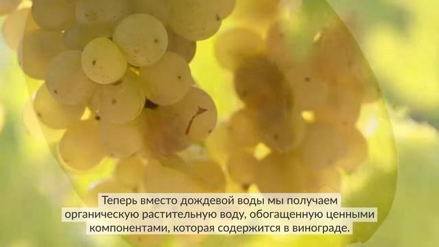 Caudalie - Секреты винограда - Виноградная вода смотреть онлайн