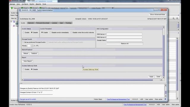 Brocade 300 FC Switch Domain ID