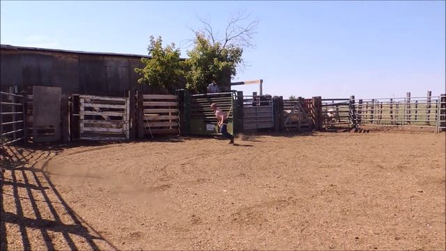 #462 9 19 15 смотреть онлайн