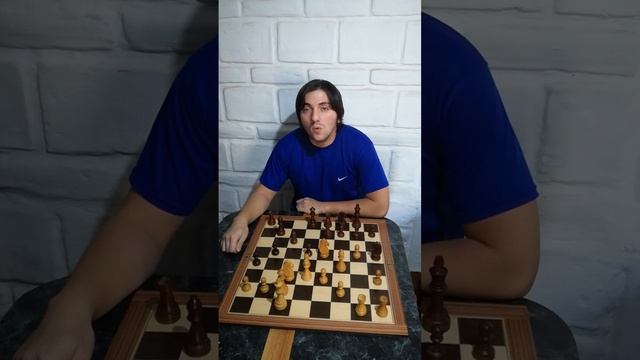 lucha de flancos opuestos (video 2) смотреть онлайн