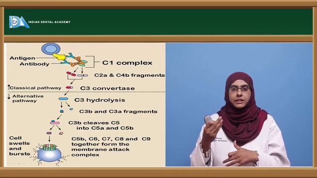 compliment system | Microbiology | Indian Dental Academy смотреть онлайн