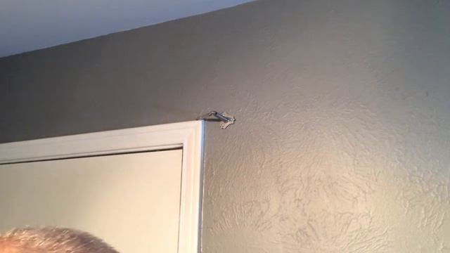 DIGNITET Curtain Wire Hanging System From IKEA