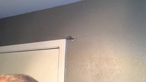 DIGNITET Curtain Wire Hanging System from IKEA