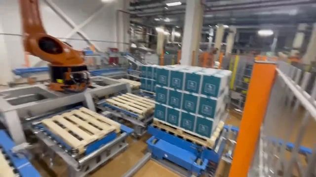 Pallet shuttle & pallet rollgangs. Паллетная конвейерная линия, шаттл. смотреть онлайн