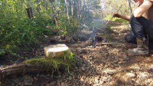 Ковка ножа из гвоздя камнем  (Forging a knife from a nail)