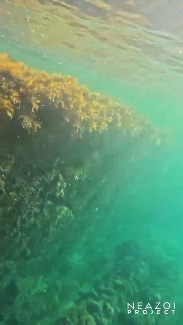 Скала Парус под водой. Прасковеевка смотреть онлайн