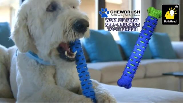 Top 5 Best Electric Toothbrushes For Dogs For This Year смотреть онлайн