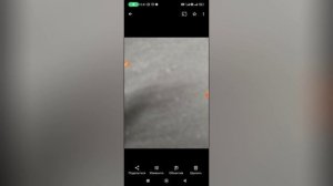 Как сохранить фото в Гугл фото?