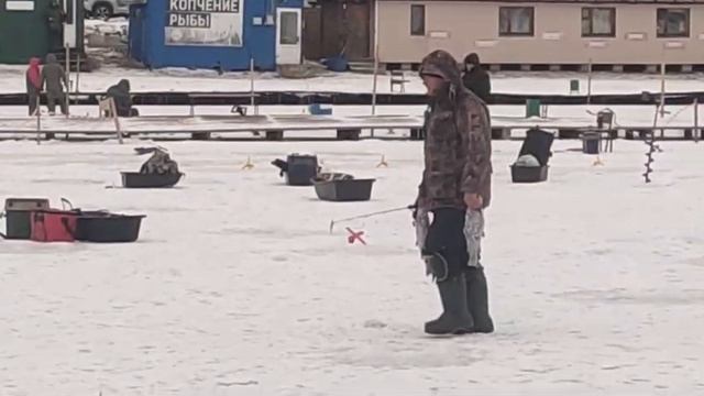 23-01-2025 смотреть онлайн