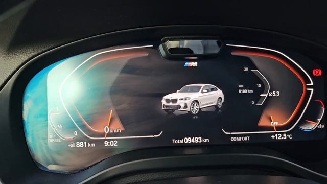 BMW X4 2.0d xDrive 190 CV смотреть онлайн