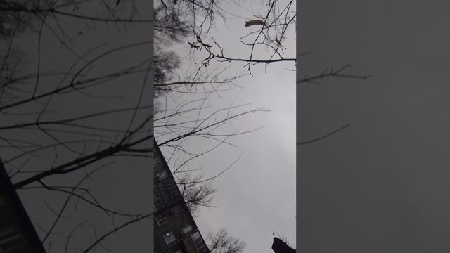 привет смотреть онлайн