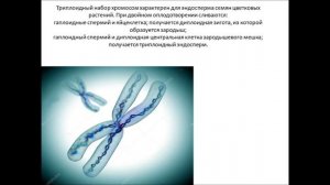Bio-ege | Урок №4 Хромосомы готовимся к ЕГЭ биология