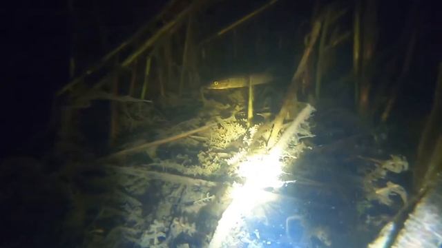 подводная охота, открытие сезона 2019.03.10 Ладога смотреть онлайн